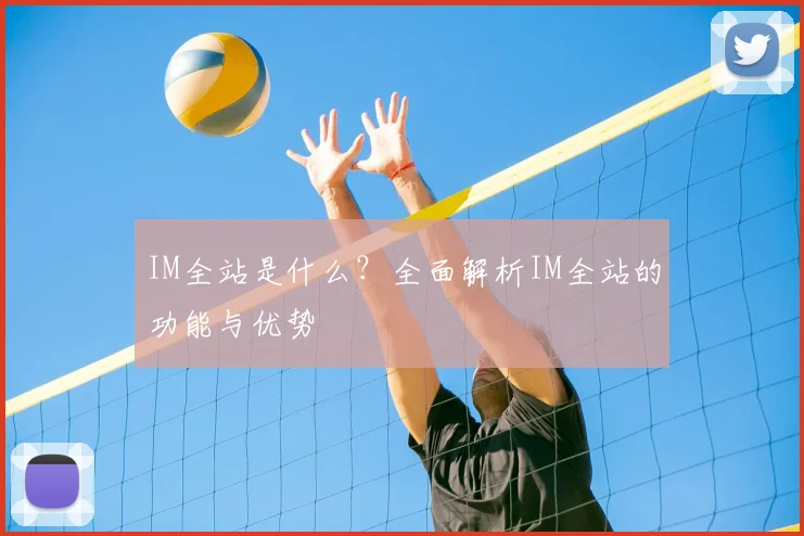 IM全站是什么？全面解析IM全站的功能与优势
