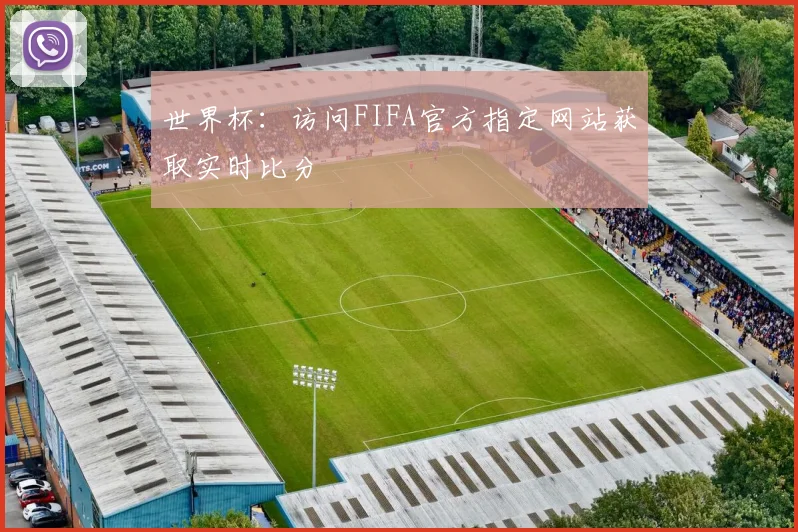 世界杯:访问FIFA官方指定网站获取实时比分